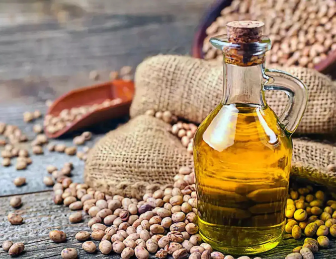 oilseed